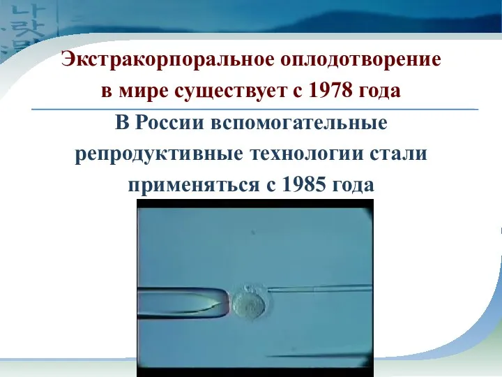 Экстракорпоральное оплодотворение в мире существует с 1978 года В России вспомогательные репродуктивные технологии