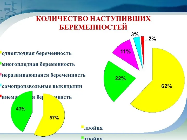 КОЛИЧЕСТВО НАСТУПИВШИХ БЕРЕМЕННОСТЕЙ одноплодная беременность многоплодная беременность неразвивающаяся беременность самопроизвольные выкидыши внематочная беременность двойня тройня