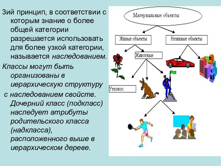 3ий принцип, в соответствии с которым знание о более общей