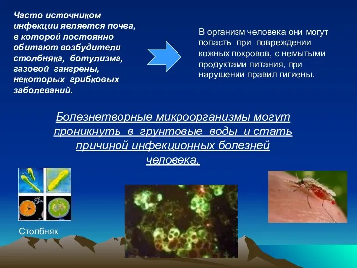 Часто источником инфекции является почва, в которой постоянно обитают возбудители