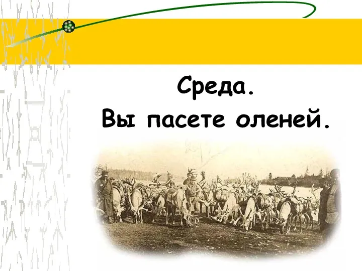 Среда. Вы пасете оленей.