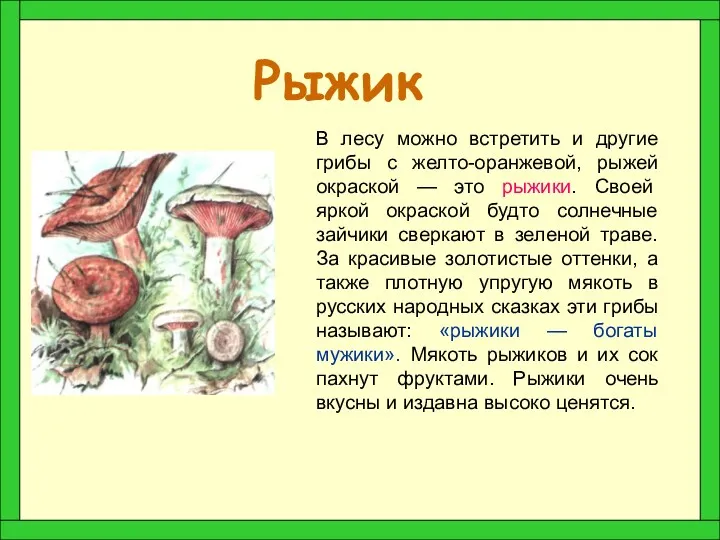 Рыжик В лесу можно встретить и другие грибы с желто-оранжевой,