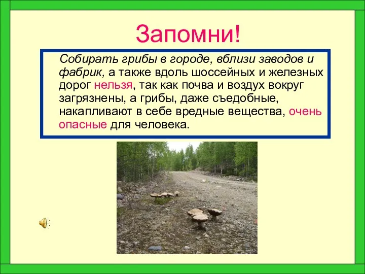 Запомни! Собирать грибы в городе, вблизи заводов и фабрик, а