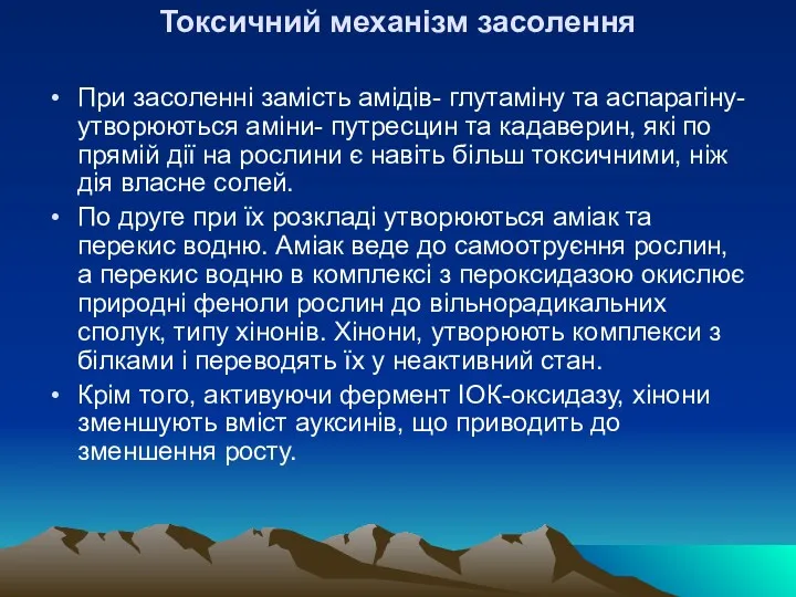 Токсичний механiзм засолення При засоленнi замiсть амiдiв- глутамiну та аспарагiну-