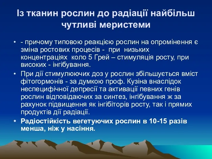 Iз тканин рослин до радiацiї найбiльш чутливi меристеми - причому