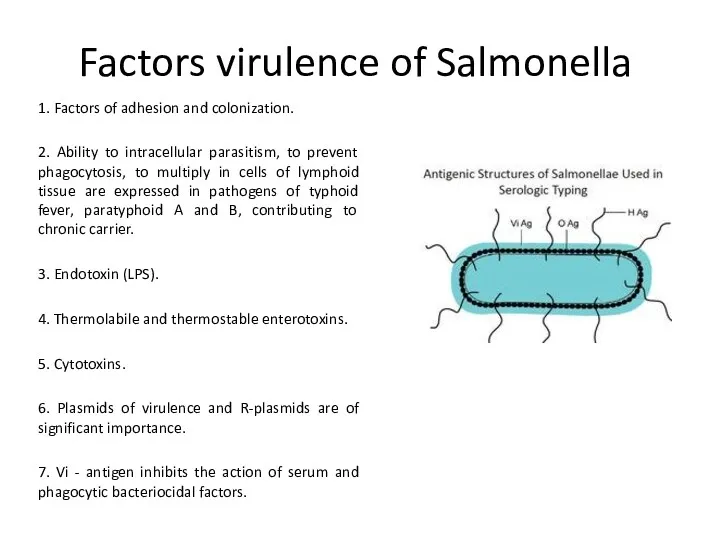 Factors virulence of Salmonella 1. Factors of adhesion and colonization.