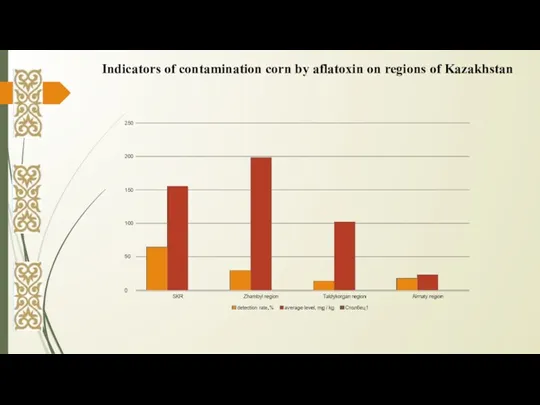 Indicators of contamination corn by aflatoxin on regions of Kazakhstan