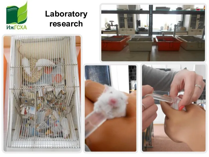 Laboratory research