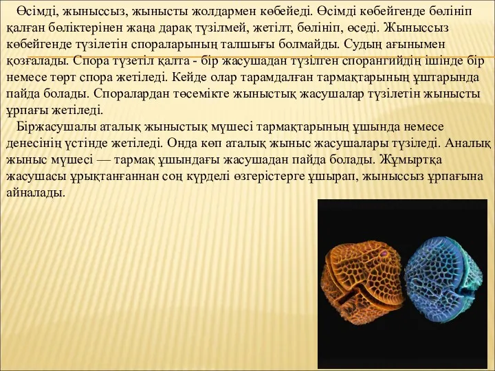 Өсімді, жыныссыз, жынысты жолдармен көбейеді. Өсімді көбейгенде бөлініп қалған бөліктерінен