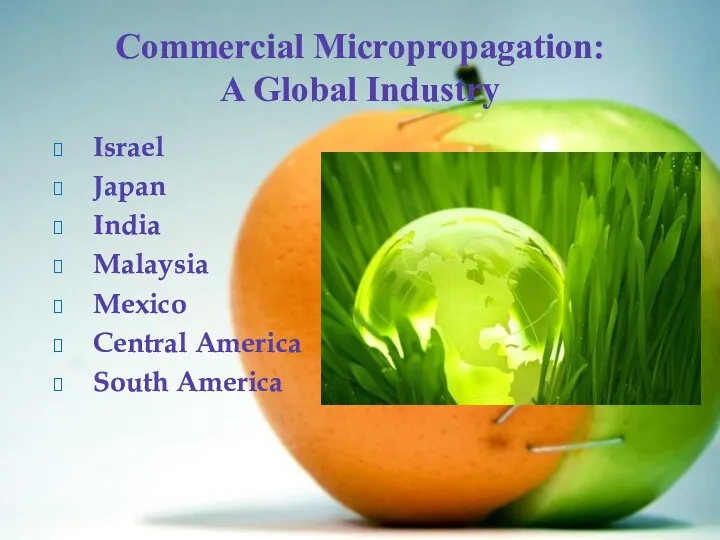 Commercial Micropropagation: A Global Industry Israel Japan India Malaysia Mexico Central America South America