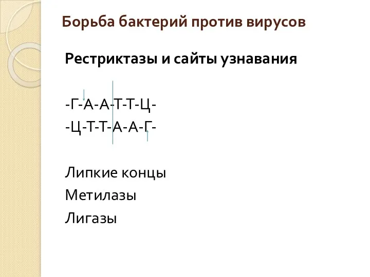 Борьба бактерий против вирусов Рестриктазы и сайты узнавания -Г-А-А-Т-Т-Ц- -Ц-Т-Т-А-А-Г- Липкие концы Метилазы Лигазы