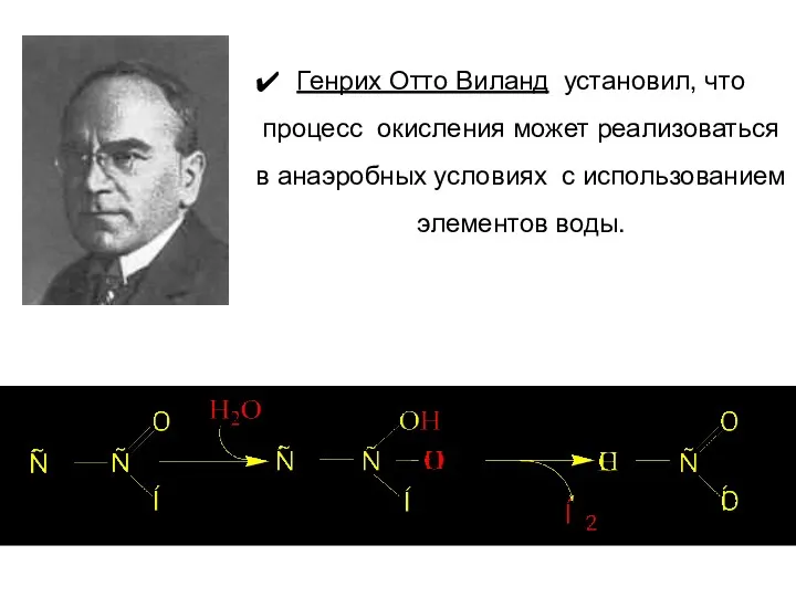 Генрих Отто Виланд установил, что процесс окисления может реализоваться в анаэробных условиях с использованием элементов воды.