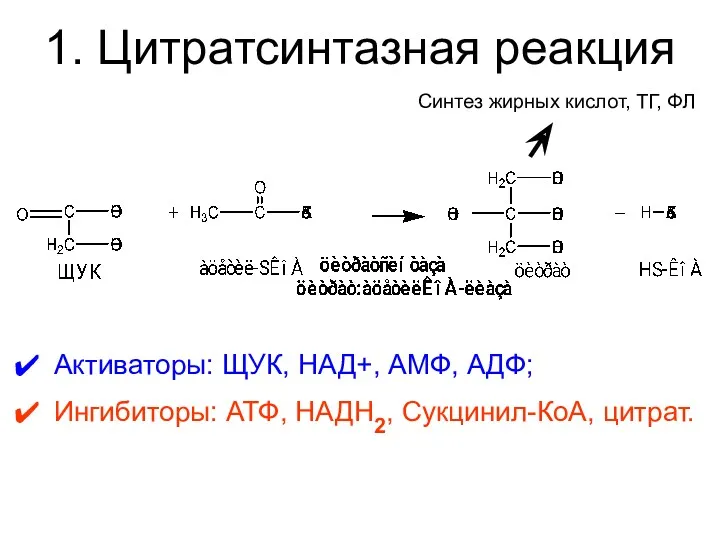 1. Цитратсинтазная реакция Активаторы: ЩУК, НАД+, АМФ, АДФ; Ингибиторы: АТФ,