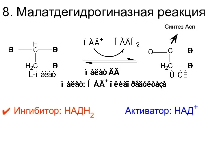 8. Малатдегидрогиназная реакция Ингибитор: НАДН2 Активатор: НАД+ Синтез Асп