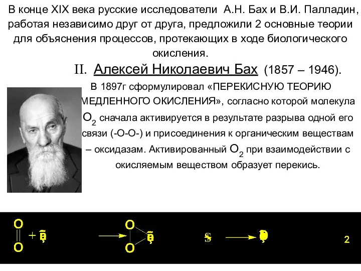 В конце XIX века русские исследователи А.Н. Бах и В.И.