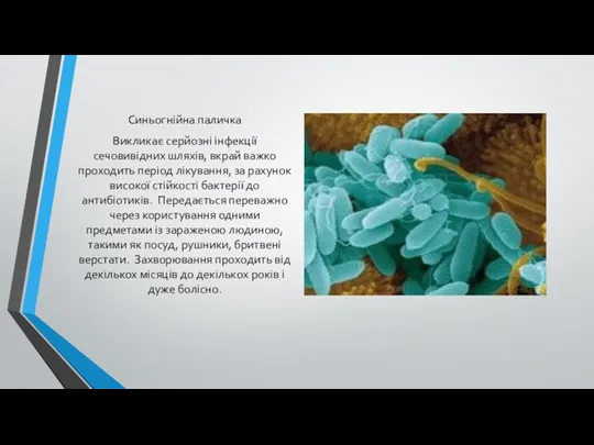 Синьогнійна паличка Викликає серйозні інфекції сечовивідних шляхів, вкрай важко проходить