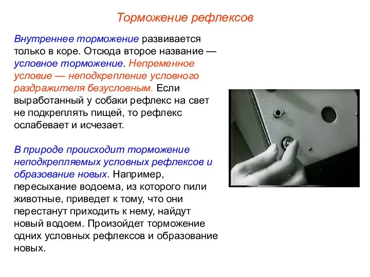 Торможение рефлексов Внутреннее торможение развивается только в коре. Отсюда второе