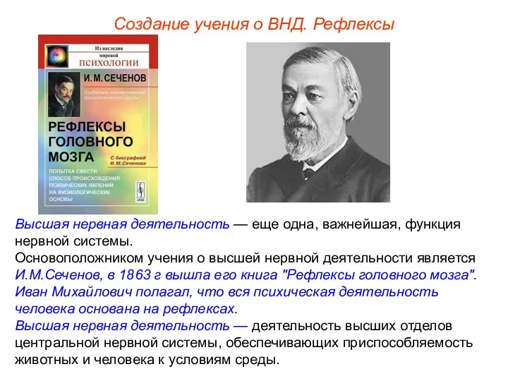 Создание учения о ВНД. Рефлексы Высшая нервная деятельность — еще