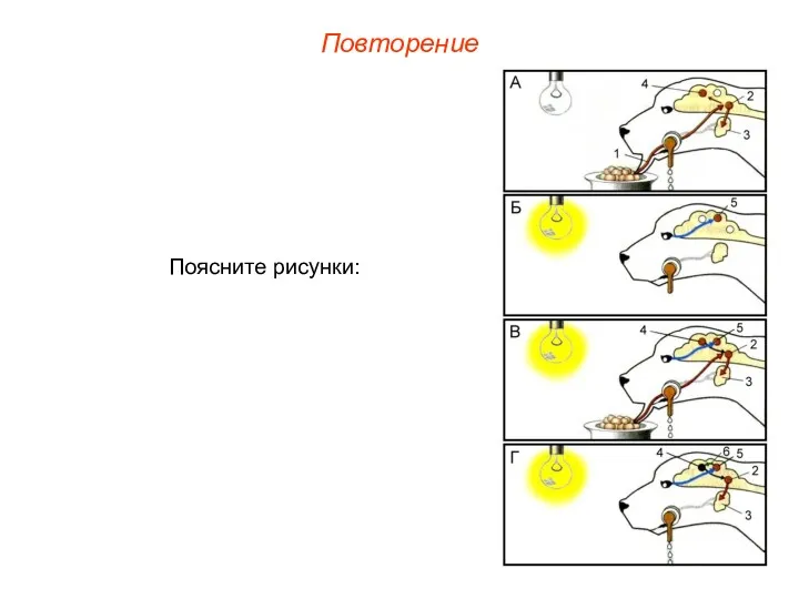 Повторение Поясните рисунки: