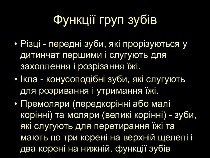 Функції груп зубів Різці - передні зуби, які прорізуються у