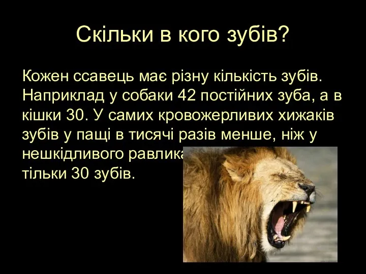 Скільки в кого зубів? Кожен ссавець має різну кількість зубів.