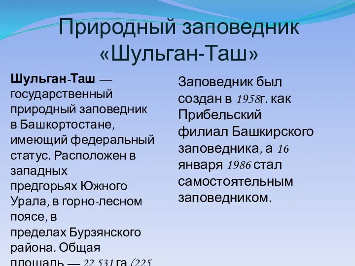 Природный заповедник «Шульган-Таш» Шульган-Таш — государственный природный заповедник в Башкортостане,