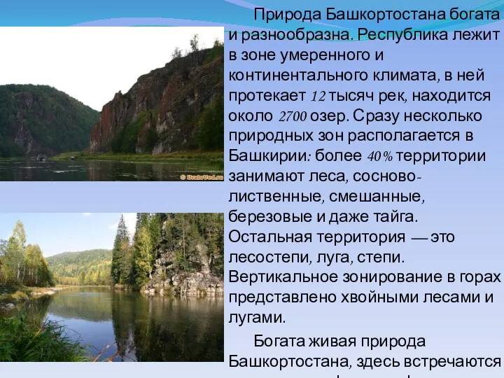 Природа Башкортостана богата и разнообразна. Республика лежит в зоне умеренного