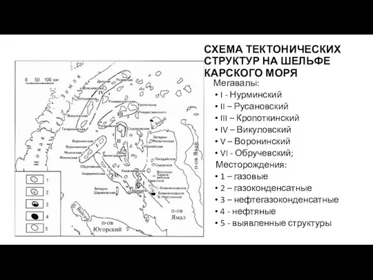 СХЕМА ТЕКТОНИЧЕСКИХ СТРУКТУР НА ШЕЛЬФЕ КАРСКОГО МОРЯ Мегавалы: I -