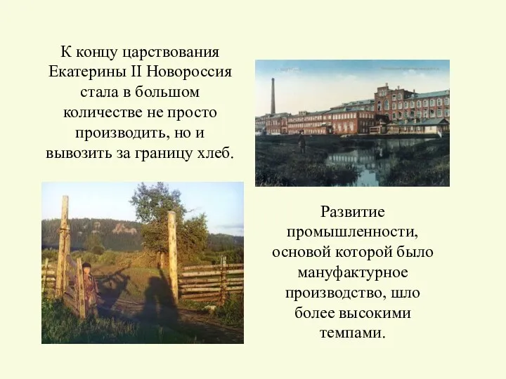 К концу царствования Екатерины II Новороссия стала в большом количестве