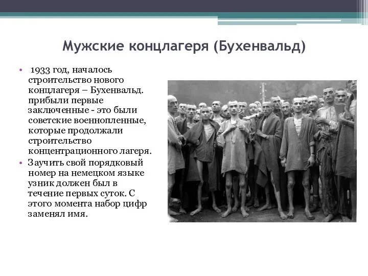 Мужские концлагеря (Бухенвальд) 1933 год, началось строительство нового концлагеря – Бухенвальд. прибыли первые