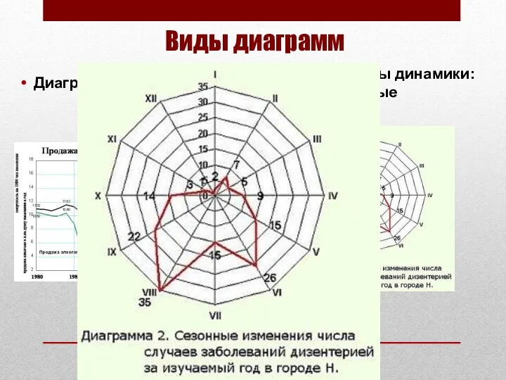 Виды диаграмм Диаграммы динамики: график Диаграммы динамики: радиальные