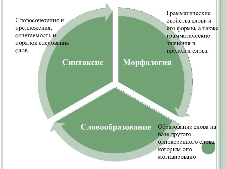 Грамматические свойства слова и его формы, а также грамматические значения