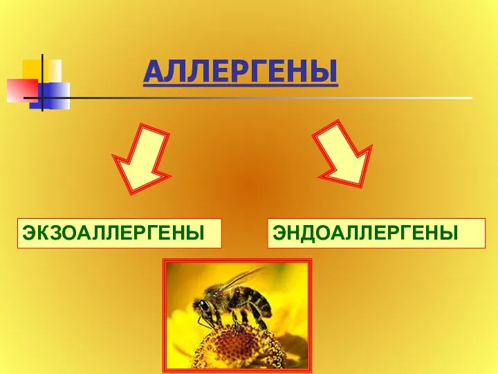 АЛЛЕРГЕНЫ