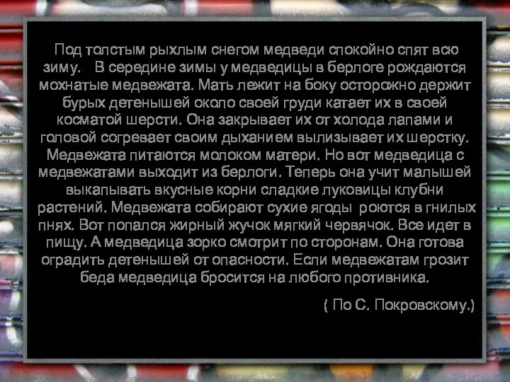 Под толстым рыхлым снегом медведи спокойно спят всю зиму. В