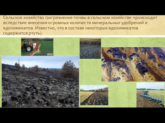 Сельское хозяйство (загрязнение почвы в сельском хозяйстве происходит вследствие внесения огромных количеств минеральных