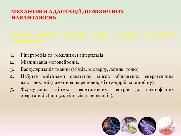 МЕХАНІЗМИ АДАПТАЦІЇ ДО ФІЗИЧНИХ НАВАНТАЖЕНЬ Загальні механізми адаптації клітин і