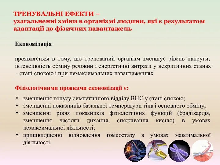 ТРЕНУВАЛЬНІ ЕФЕКТИ – узагальненні зміни в організмі людини, які є