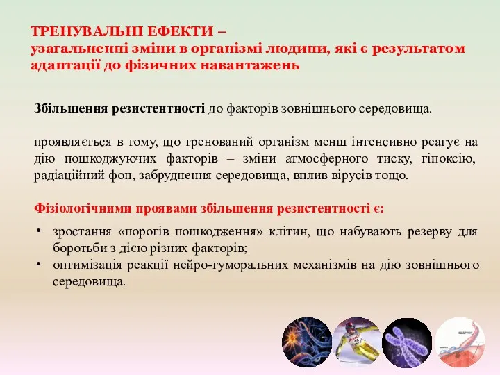 ТРЕНУВАЛЬНІ ЕФЕКТИ – узагальненні зміни в організмі людини, які є