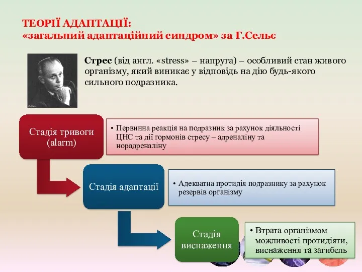 ТЕОРІЇ АДАПТАЦІЇ: «загальний адаптаційний синдром» за Г.Сельє Стрес (від англ.