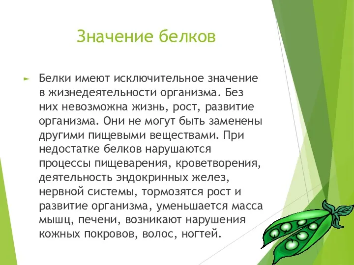 Значение белков Белки имеют исключительное значение в жизнедеятельности организма. Без