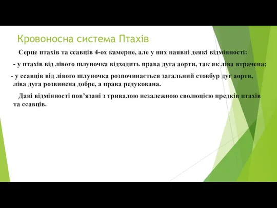 Кровоносна система Птахів Серце птахів та ссавців 4-ох камерне, але