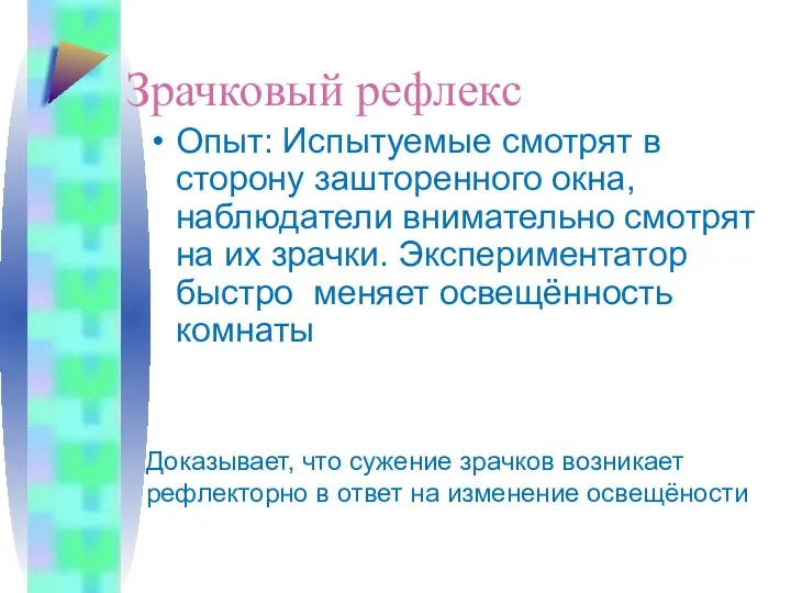 Зрачковый рефлекс Опыт: Испытуемые смотрят в сторону зашторенного окна, наблюдатели