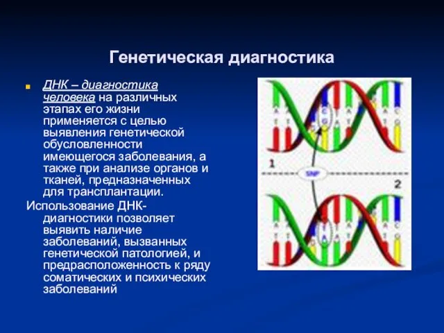 Генетическая диагностика ДНК – диагностика человека на различных этапах его