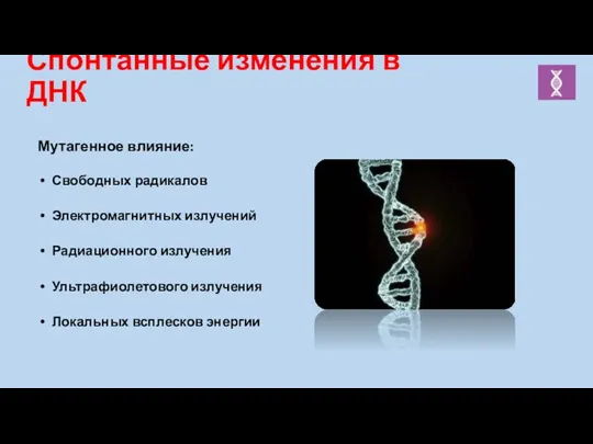 Спонтанные изменения в ДНК Мутагенное влияние: Свободных радикалов Электромагнитных излучений