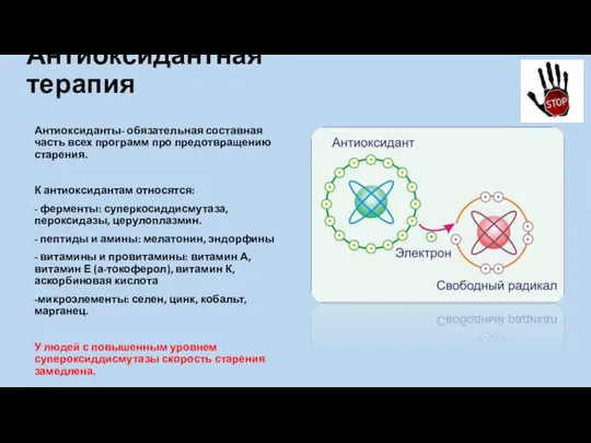 Антиоксидантная терапия Антиоксиданты- обязательная составная часть всех программ про предотвращению