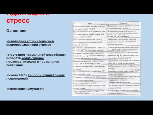 Адаптация и стресс Основное: -повышения уровня гормонов выделяющихся при стрессе