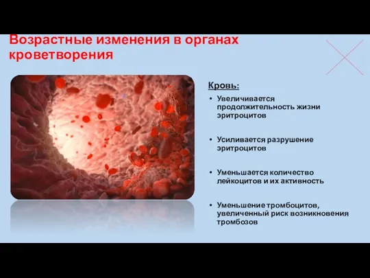 Кровь: Увеличивается продолжительность жизни эритроцитов Усиливается разрушение эритроцитов Уменьшается количество