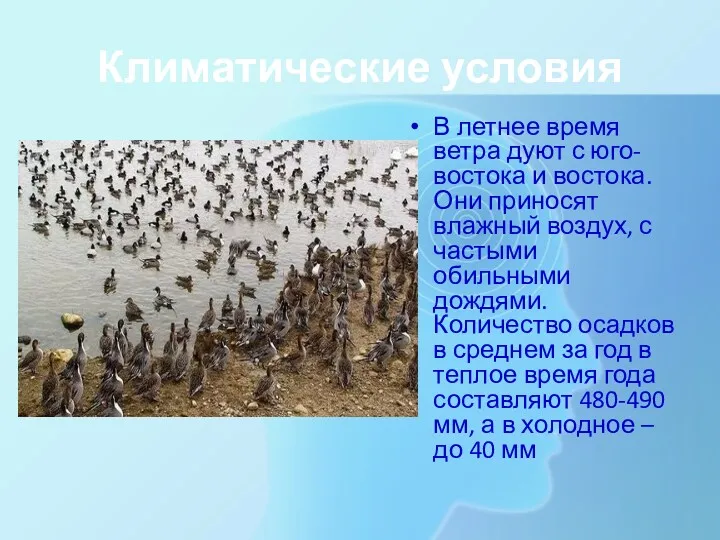 Климатические условия В летнее время ветра дуют с юго-востока и востока. Они приносят