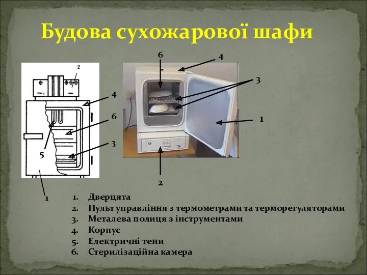 Будова сухожарової шафи 4 2 3 1 Дверцята Пульт управління