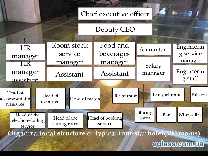 Organizational structure of typical four-star hotel(500 rooms) Ланки Chief executive